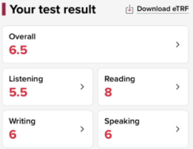 IELTS Overall 6.5 · Listening 5.5 · Reading 8 · Writing 6 · Speaking 6